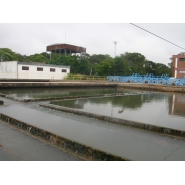 Visita a Aguas de Corrientes - 5to. Grado del Nivel Primario